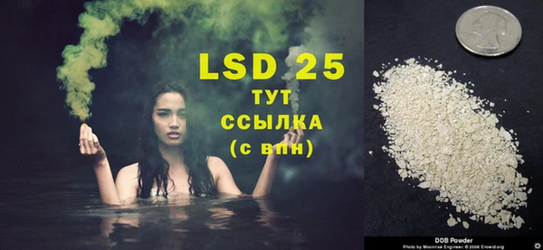 сатива Балахна