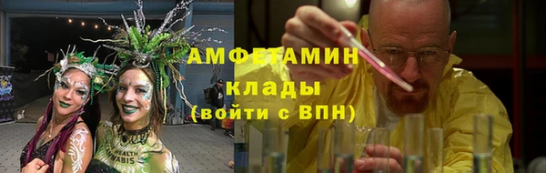 сатива Балахна
