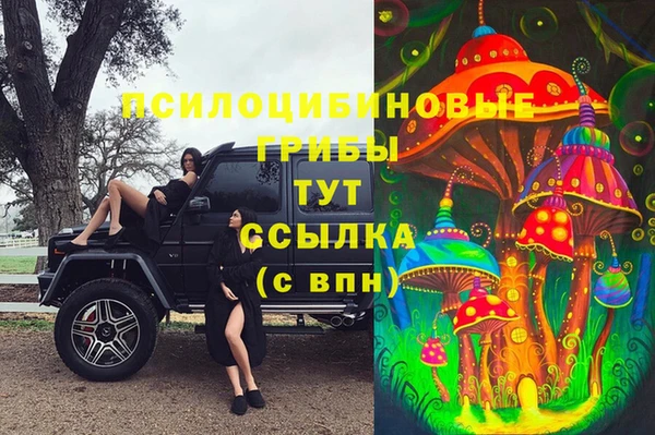 a pvp Няндома
