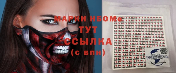 сатива Балахна