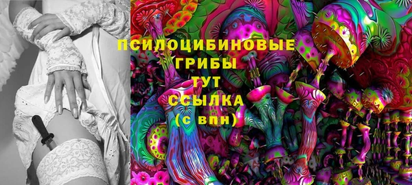 кокс Арсеньев